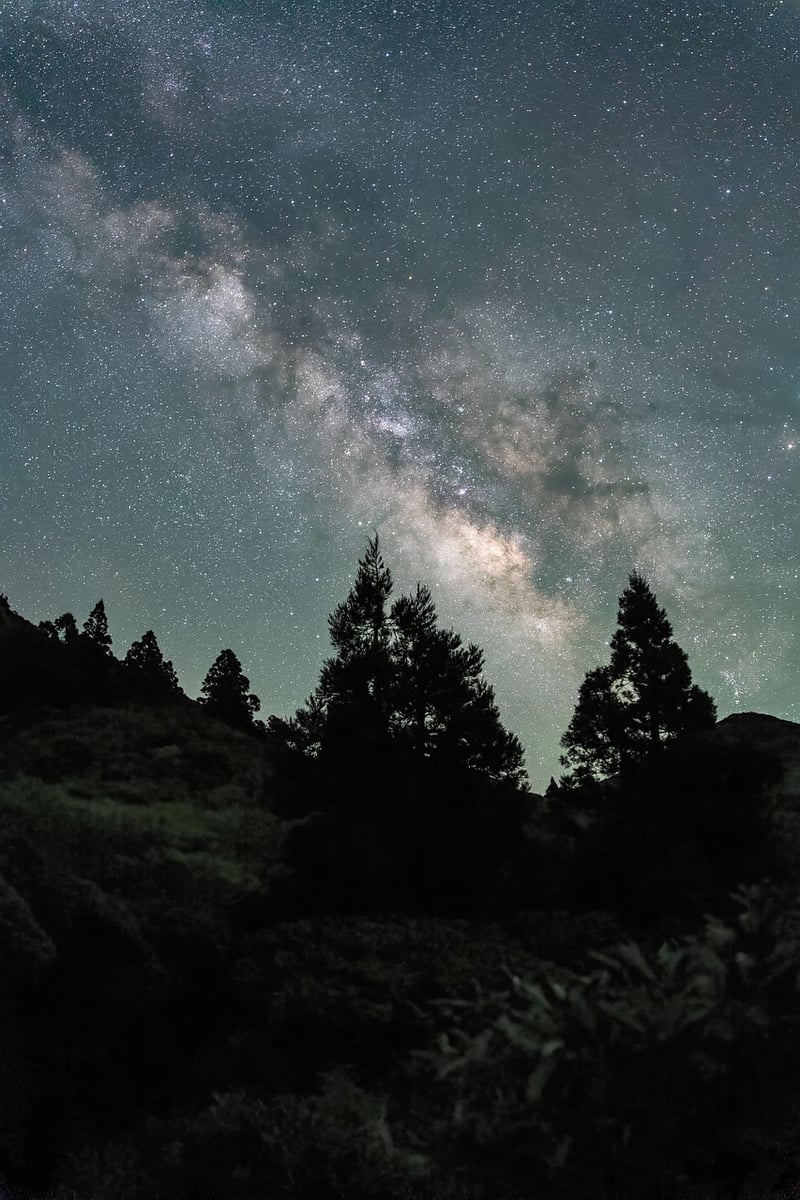Starry sky in nature